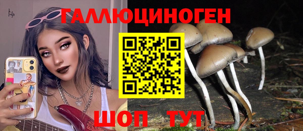 Псилоцибиновые грибы мухоморы Минеральные Воды