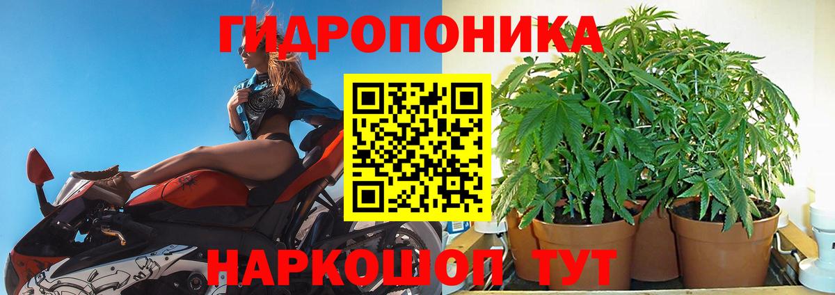Бошки Шишки ГИДРОПОН Минеральные Воды